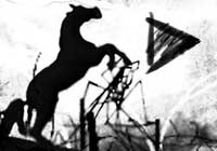 Warhorse Montage